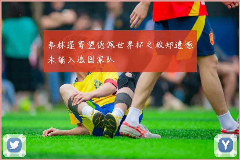弗林蓬寄望德佩世界杯之旅却遗憾未能入选国家队