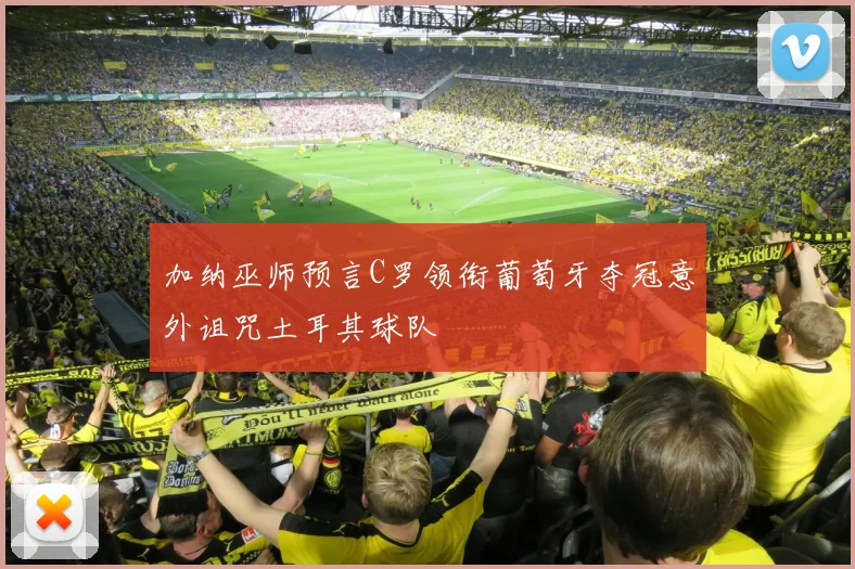 加纳巫师预言C罗领衔葡萄牙夺冠意外诅咒土耳其球队